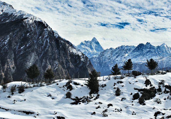 auli tour package from delhi